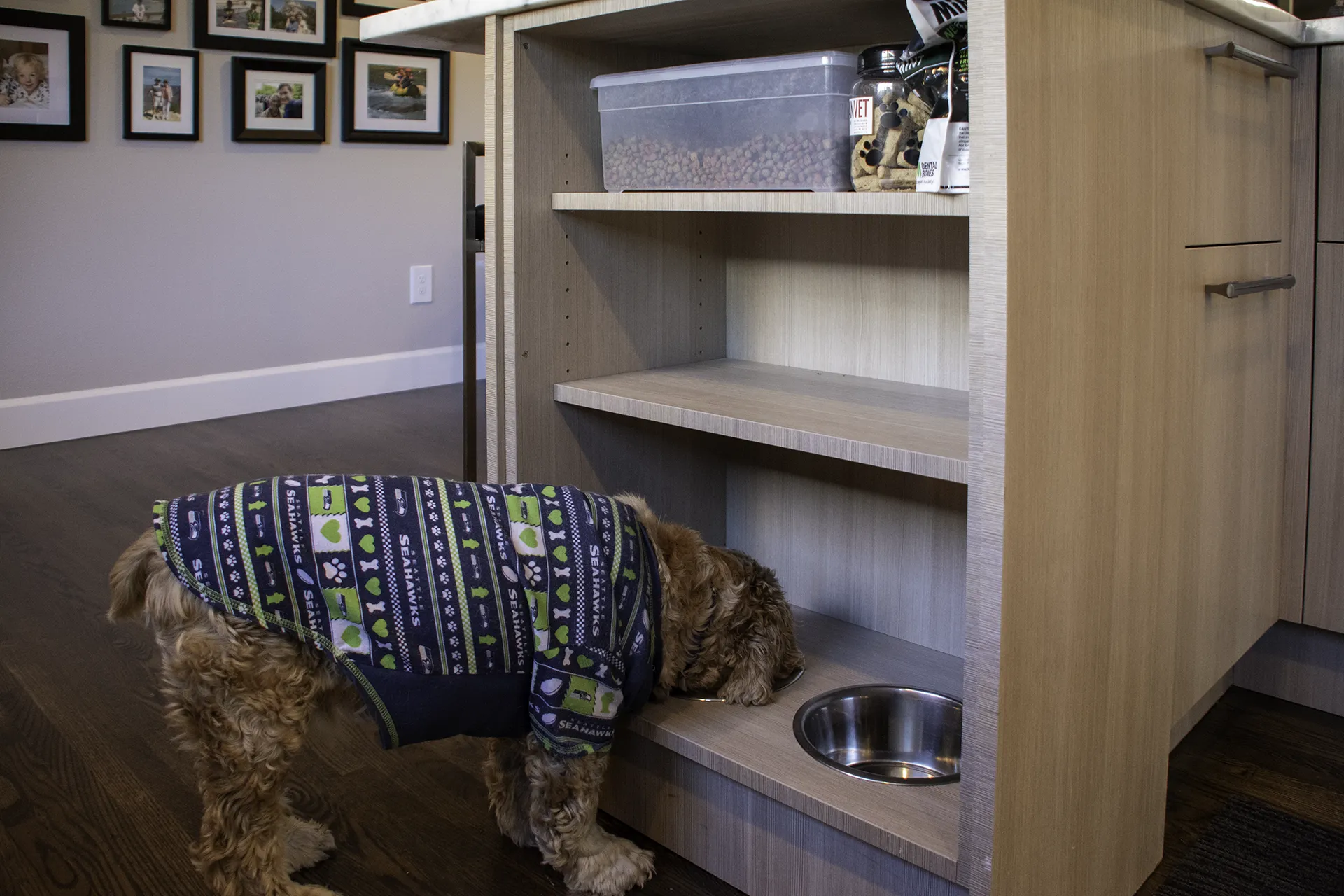 Custom built-in dog feeding station integrated into kitchen island cabinetry — Bellevue kitchen remodel